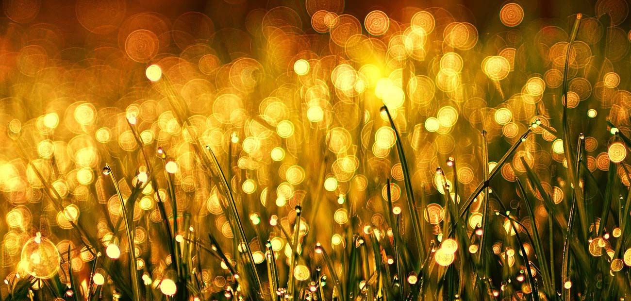 syntirisi-ergon-prasinou