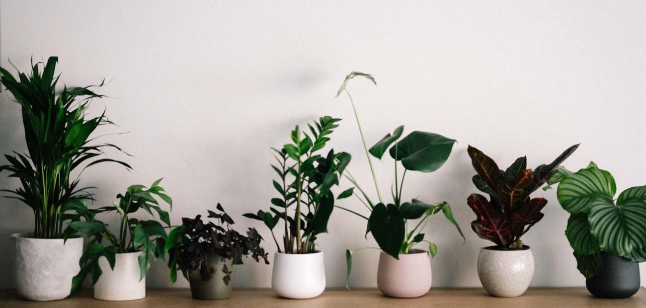 kataskeui-ergon-prasinou3