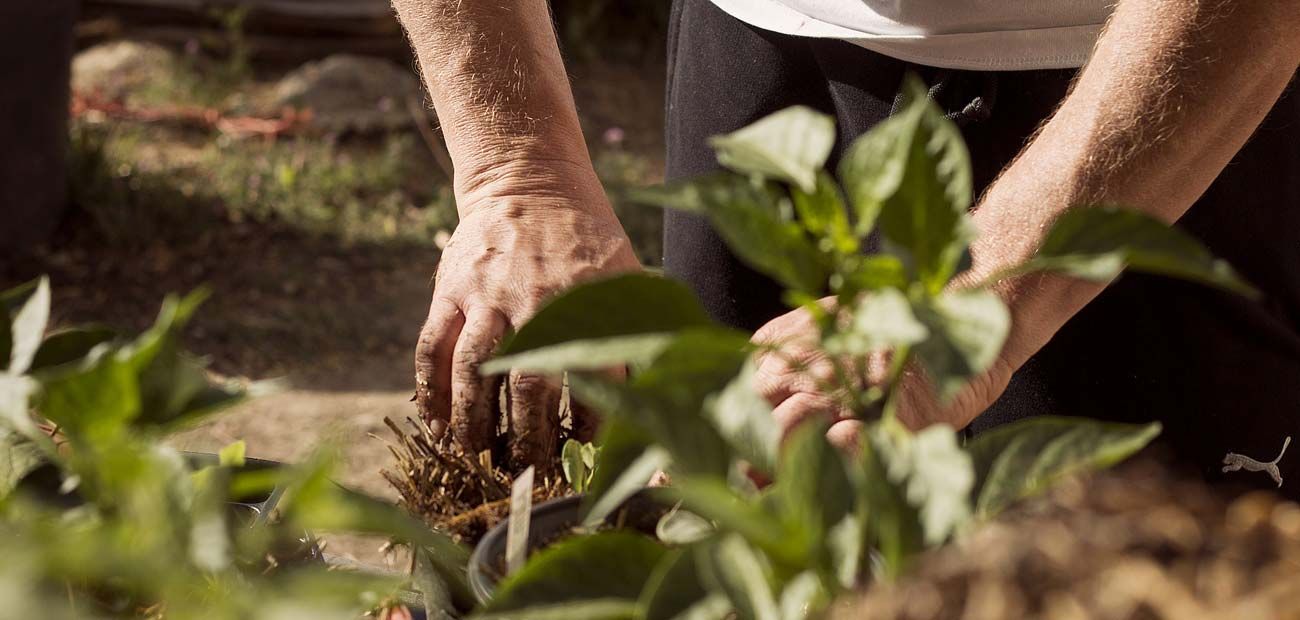 kataskeui-ergon-prasinou2